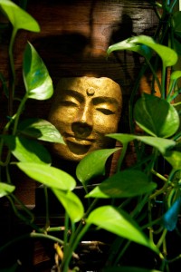 _MG_4606 mask